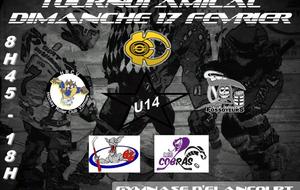 Tournoi des Rois à Elancourt le 17 février 2013